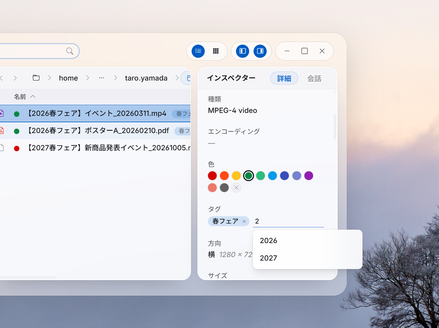 インスペクターの「情報」欄